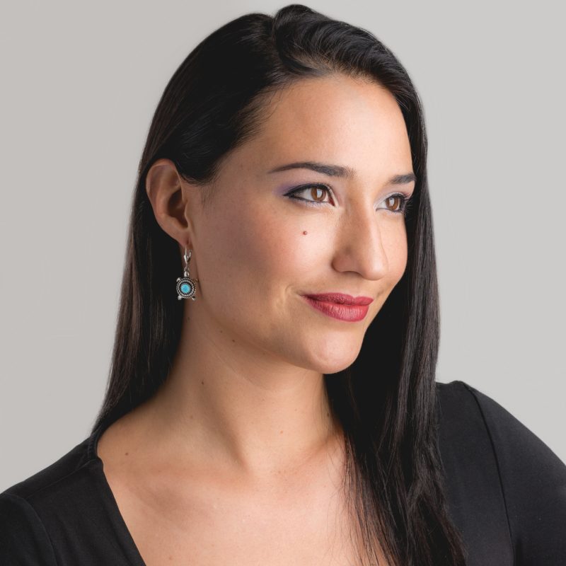 Sterling Silver Kingman Turquoise Turtle Dangle Earrings