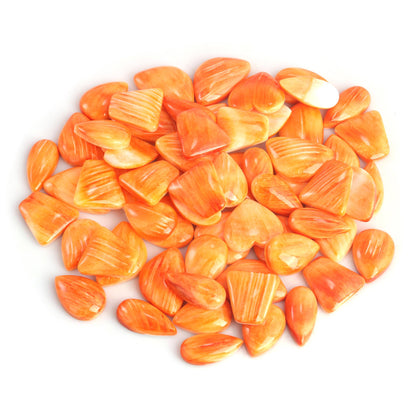 EXCLUSIVELY OURS! Sterling Silver Orange Spiny Oyster Concha Cluster Oval Link Necklace, 20 Inches